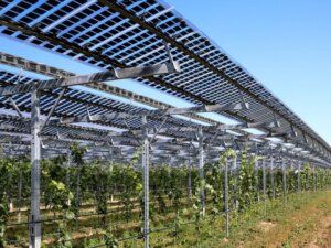農水省、望ましい営農型太陽光発電の最終案を提示　遮光率は30％未満で「米・麦・大豆」の栽培を推奨