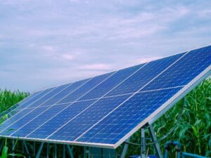 【終了】ソーラーシェアリング推進連盟がパブリックコメントを実施　「遮光率30％未満」などの再検討を要望