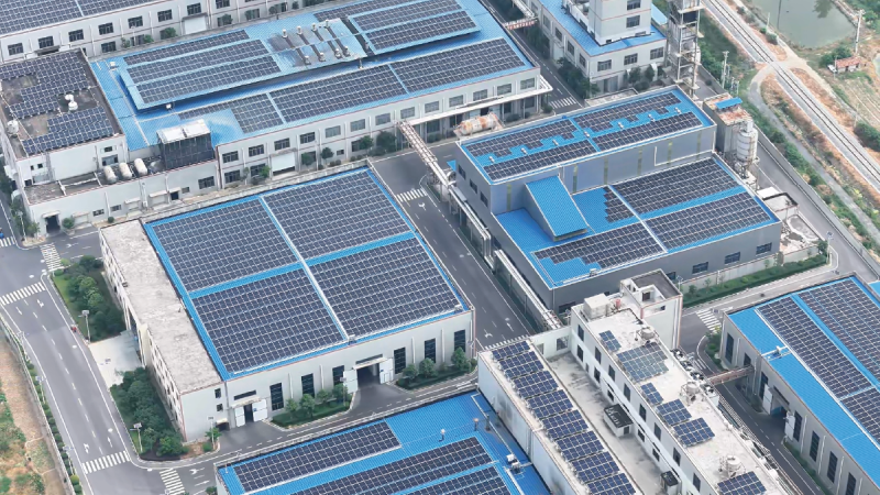 次世代BCモジュールで日本市場へ  Gokin SolarがEPC向け提案を本格化